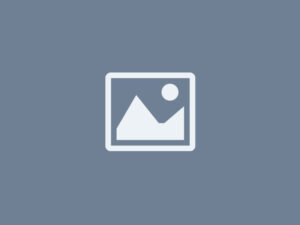 placeholder wire image dark.jpg
