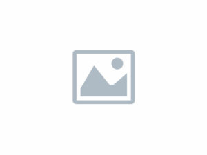 placeholder wire image white.jpg